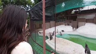 血芙蓉欧美视频亚洲视频太子探花极品