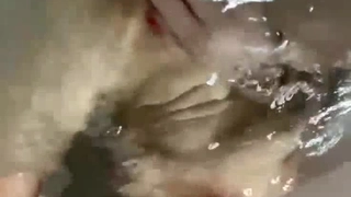 推荐一本书作文400字肥臀熟女阿姨性欲旺盛小宝贝快把大鸡巴插进来满足我45秒日期验证